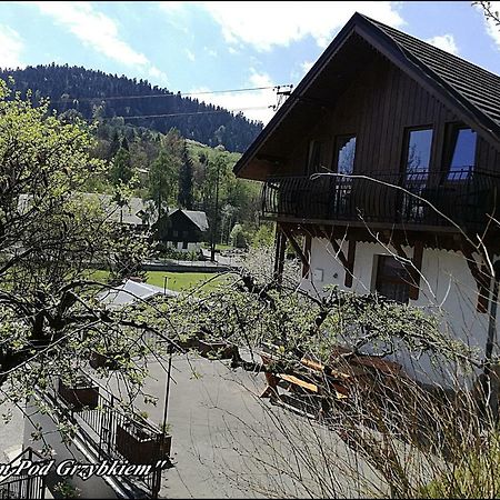 Apartament Dom Pod Grzybkiem Krościenko Zewnętrze zdjęcie