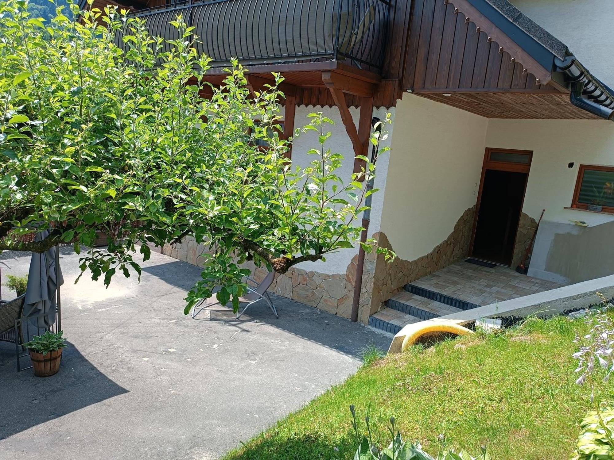 Apartament Dom Pod Grzybkiem Krościenko Zewnętrze zdjęcie