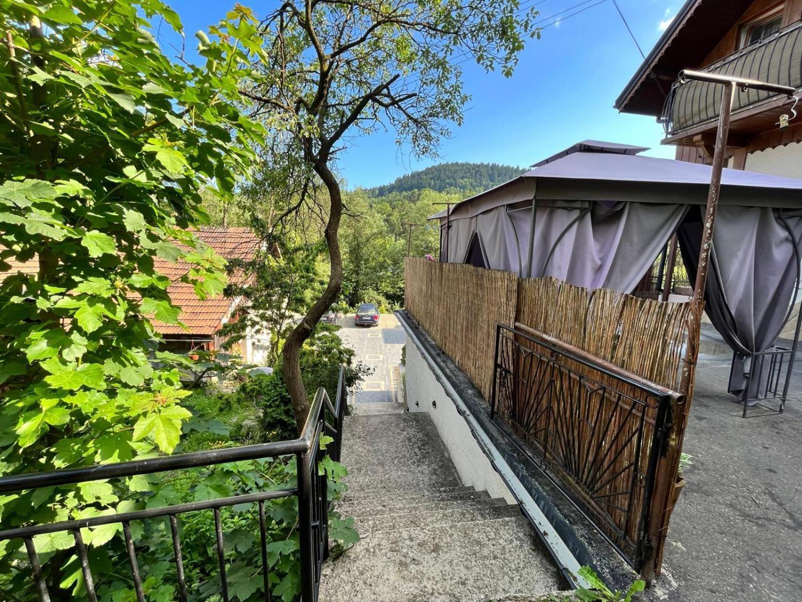 Apartament Dom Pod Grzybkiem Krościenko Zewnętrze zdjęcie